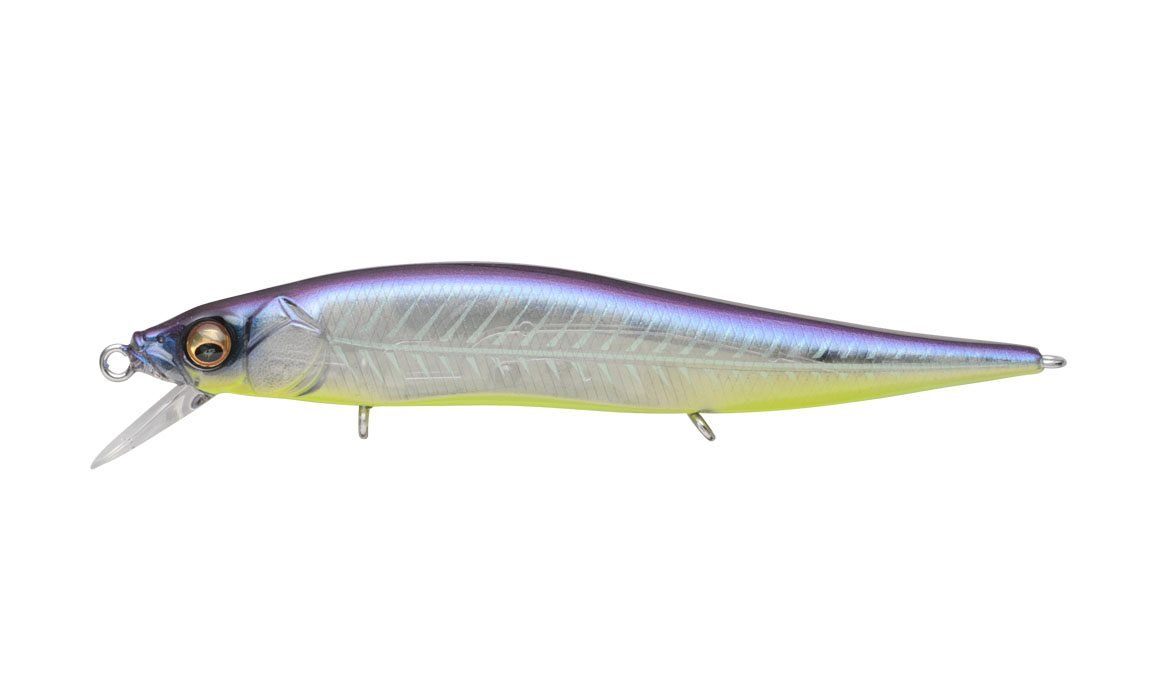 Amazon.co.jp: Megabass(メガバス)